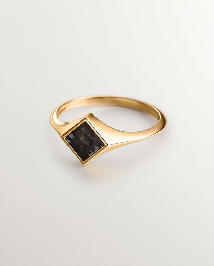 Anillo de sello de oro amarillo de 9K con obsidiana negra