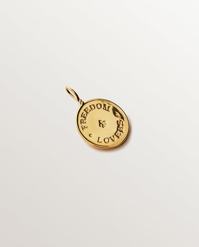 Charm de plata 925 bañada en oro amarillo de 18K con topacios blancos y motivo de pájaro