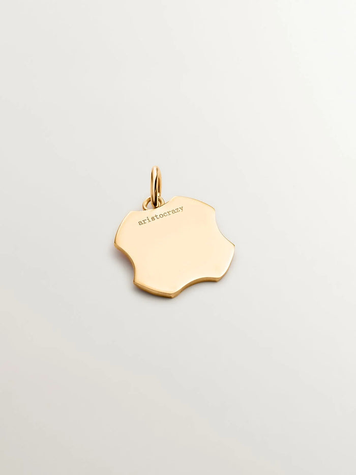 Charm de plata 925 bañada en oro amarillo de 18K con inicial R y esmalte naranja con forma irregular